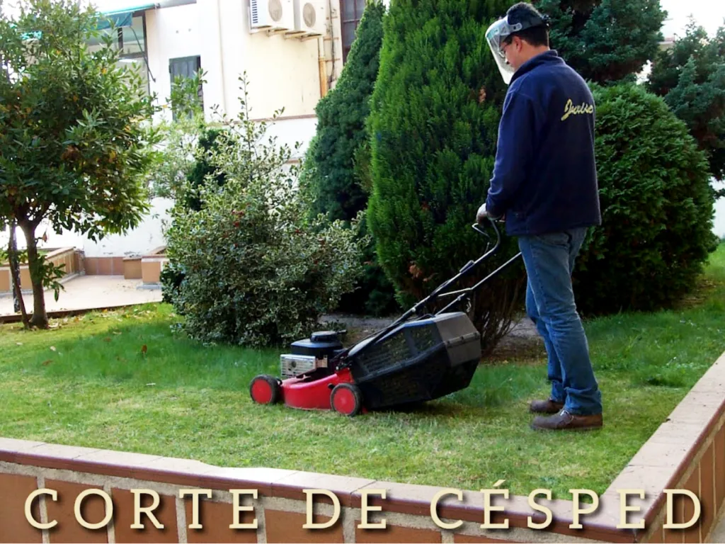 Corte de césped en Salamanca