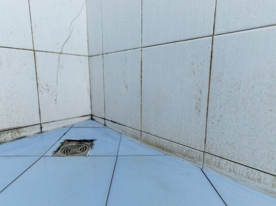 moho en la ducha - baño